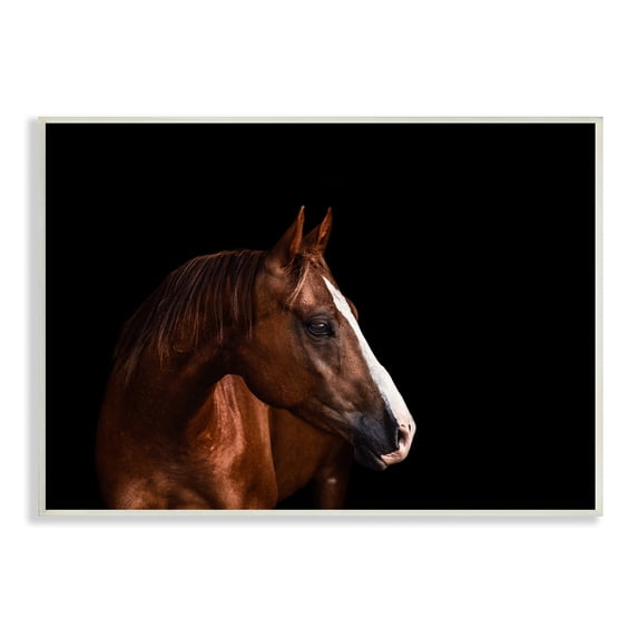 Stupell Industries Modern Horse Portrait Solemn Farm Animal Animals & Insects Photography Unframed Art Print Wall Art, 13 x 19