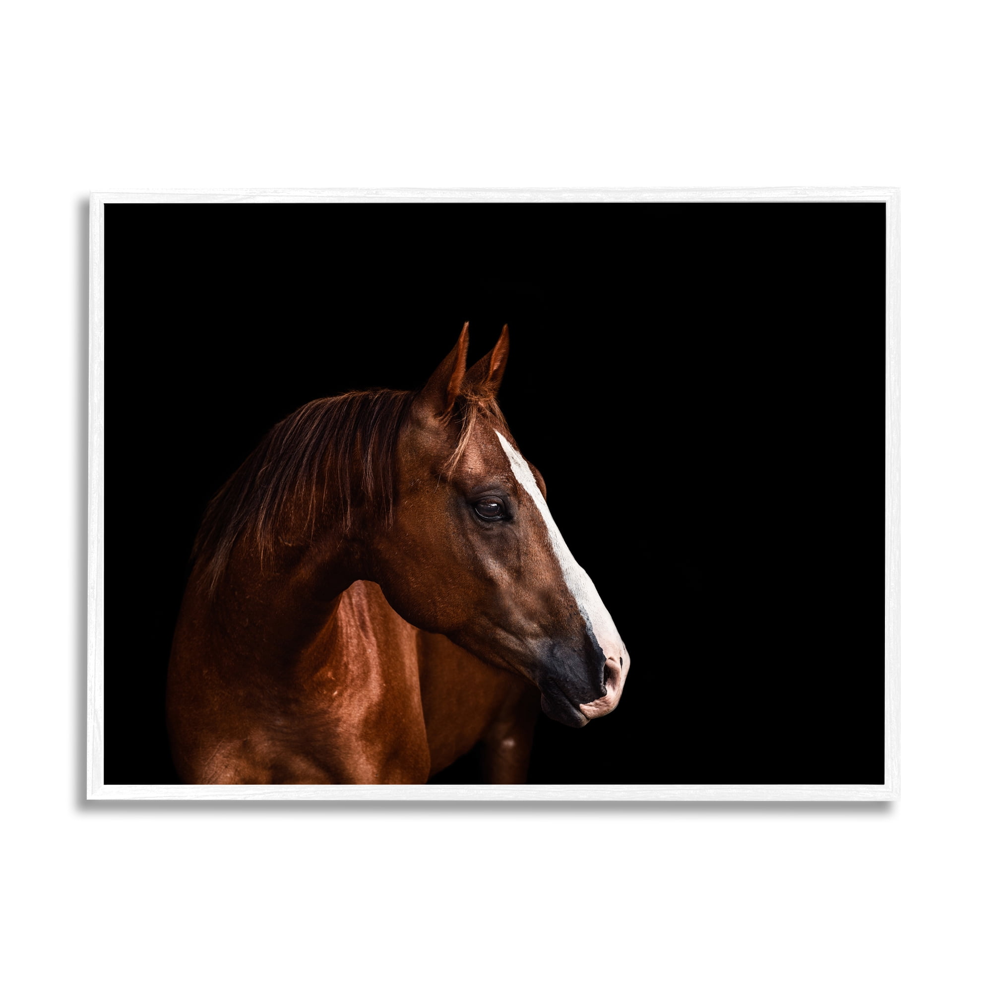 Stupell Industries Modern Horse Portrait Solemn Farm Animal Animals & Insects Photography White Framed Art Print Wall Art, 24 x 30