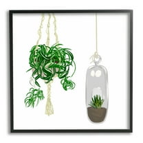 Stupell Industries Modern Indoor Potted Greenery Spider Plant Terrarium Botanical & Floral Painting Black Framed Art Print Wall Art, 12 x 12