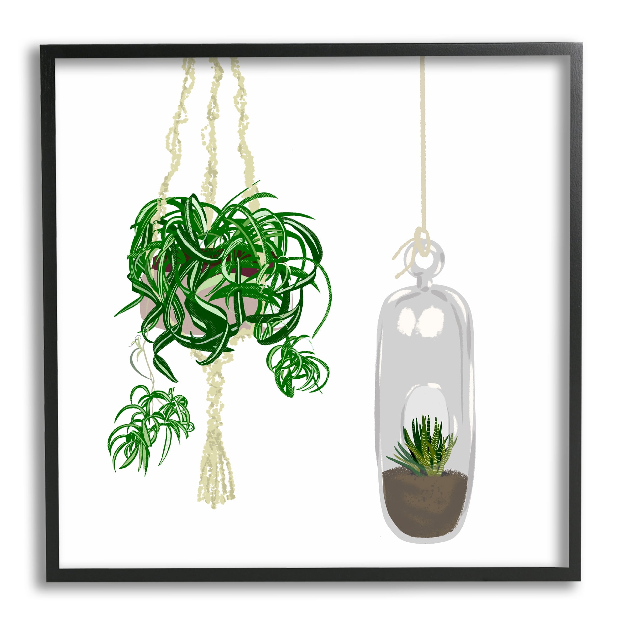 Stupell Industries Modern Indoor Potted Greenery Spider Plant Terrarium Botanical & Floral Painting Black Framed Art Print Wall Art, 24 x 24