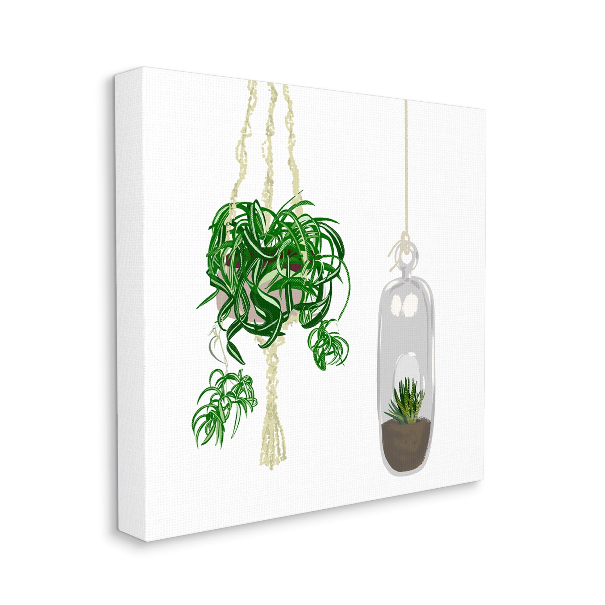 Stupell Industries Modern Indoor Potted Greenery Spider Plant Terrarium Botanical & Floral Painting Gallery Wrapped Canvas Print Wall Art, 30 x 30