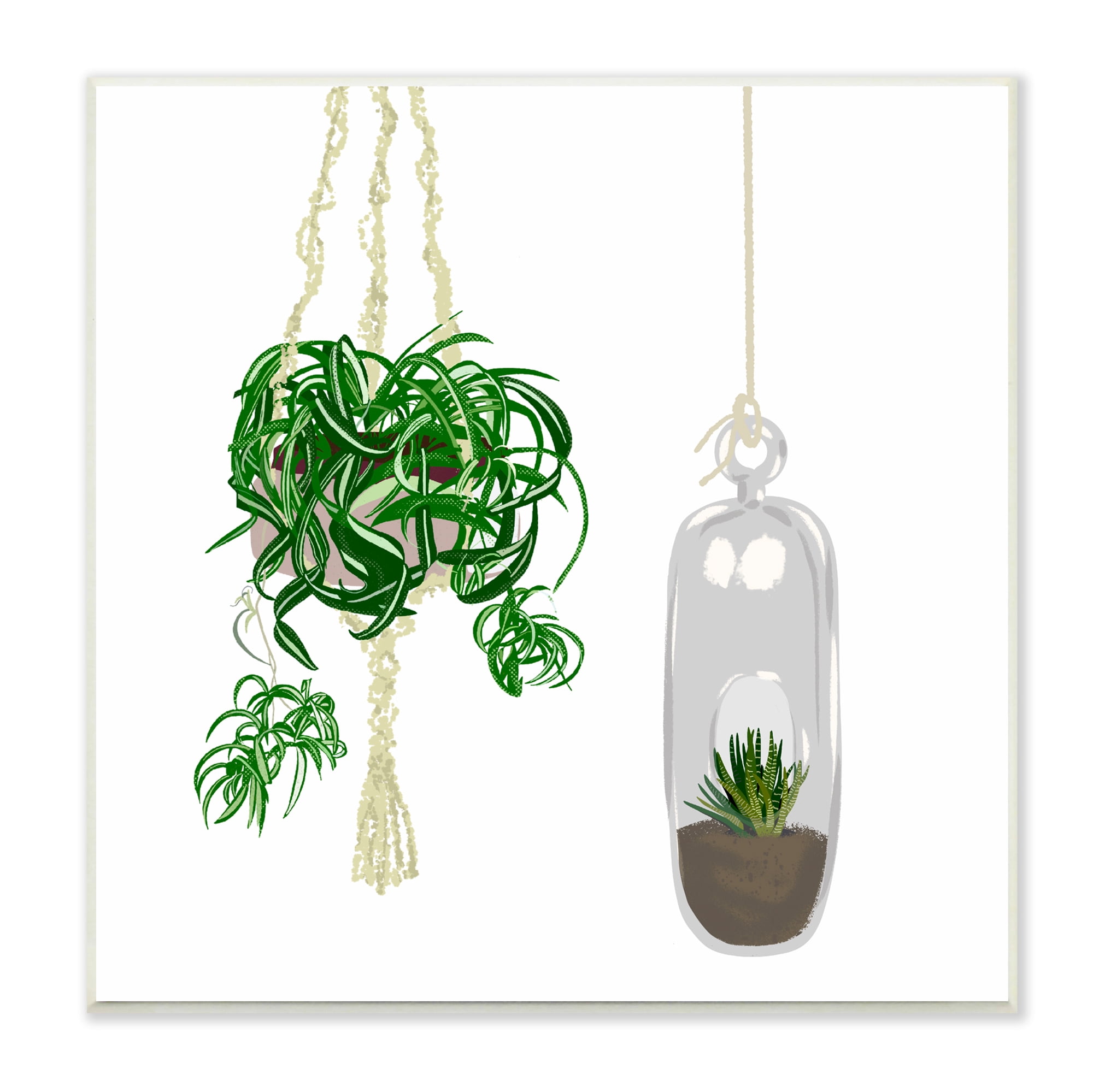 Stupell Industries Modern Indoor Potted Greenery Spider Plant Terrarium Botanical & Floral Painting Unframed Art Print Wall Art, 12 x 12