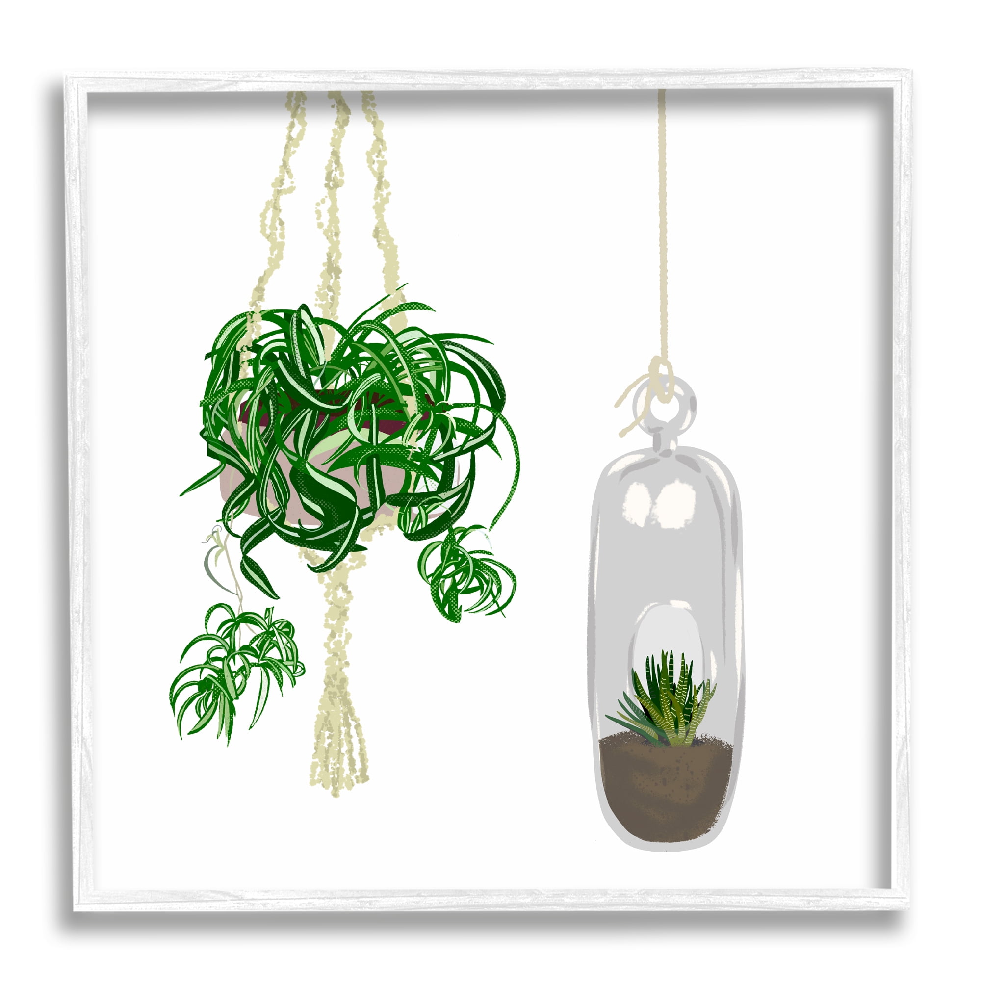 Stupell Industries Modern Indoor Potted Greenery Spider Plant Terrarium Botanical & Floral Painting White Framed Art Print Wall Art, 12 x 12