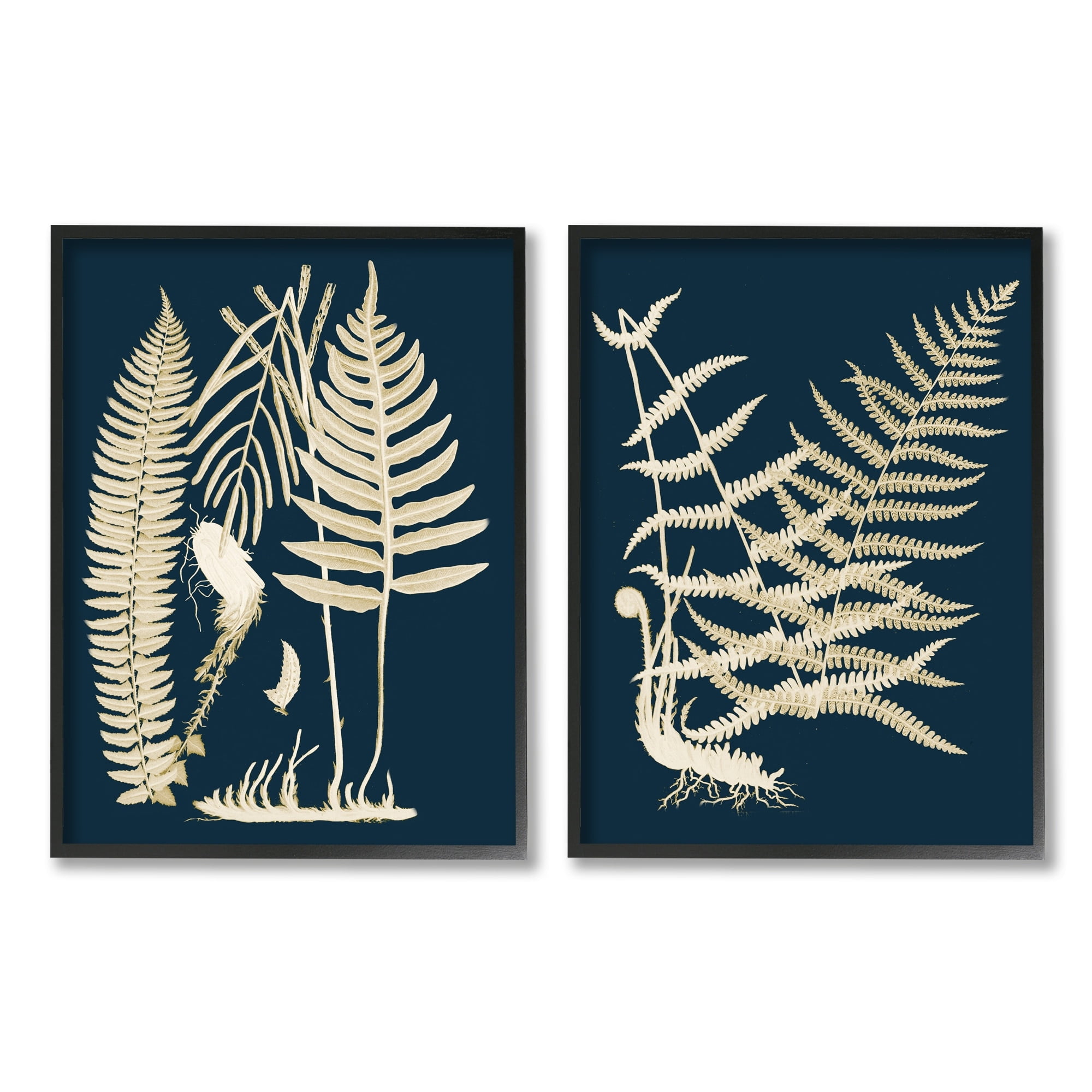 Stupell Industries Modern Layered Vegetation Natural Botanical Leaves Graphic Art Black Framed Art Print Wall Art, Set of 2, Design by Piddix