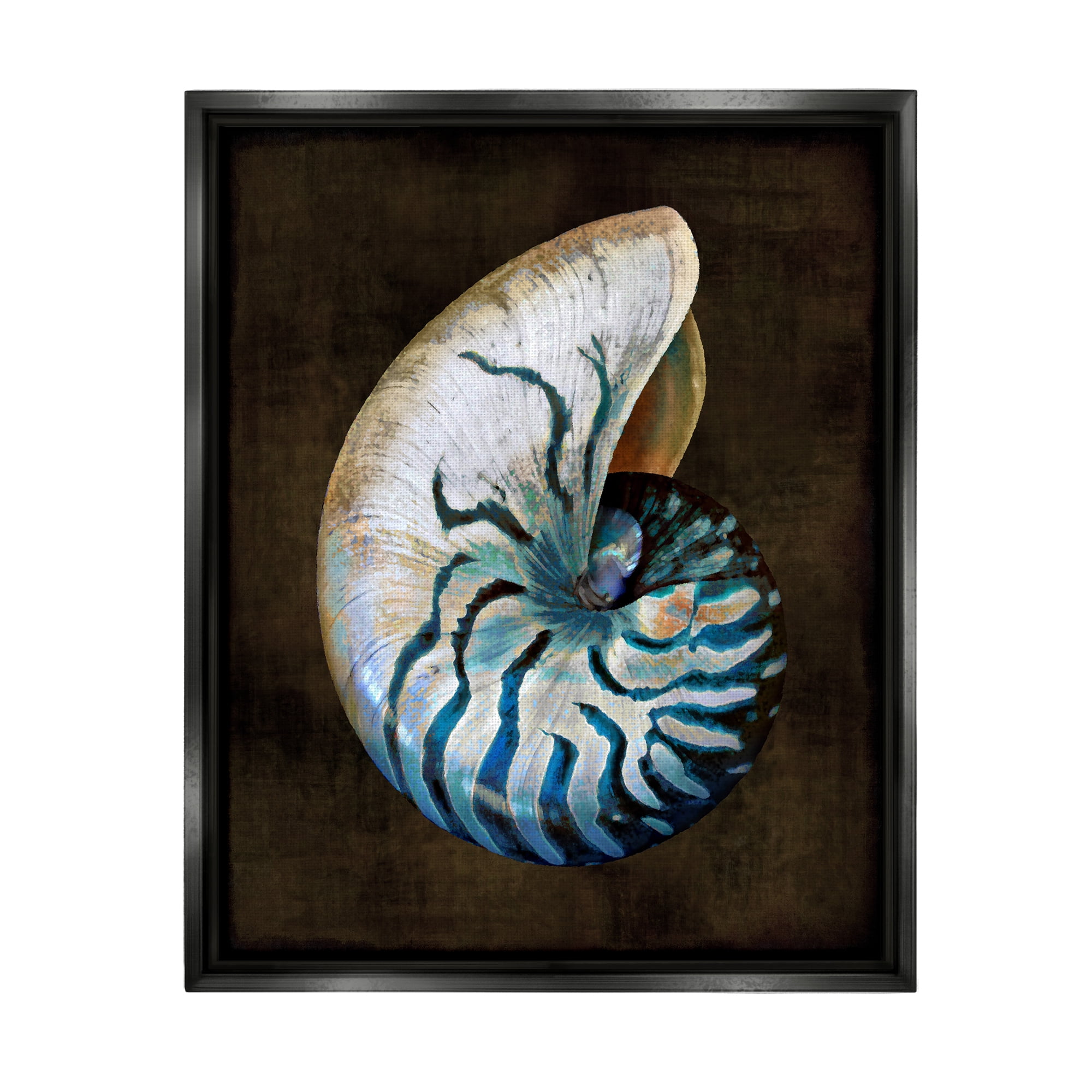 Stupell Industries Modern Marine Shell Nature Painting Black Floater Framed Art Print Wall Art, 25 x 31