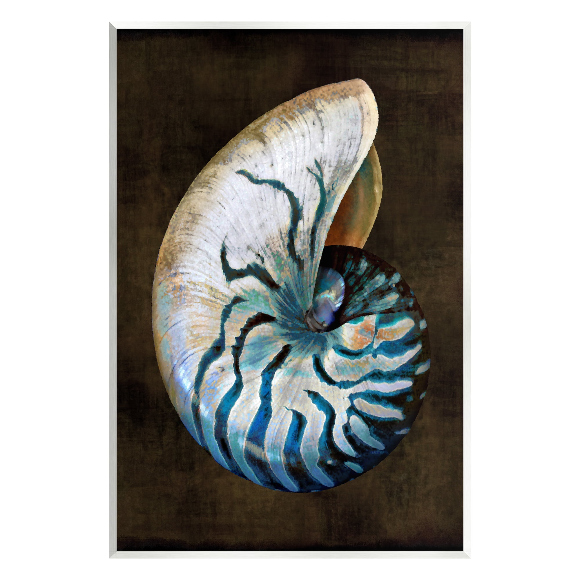 Stupell Industries Modern Marine Shell Nature Painting Unframed Art Print Wall Art, 10 x 15