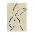 thumbnail image 1 of Stupell Industries Modern Minimal Brushed Rabbit Canvas Art, 20 x 30, by June Erica Vess, 1 of 8