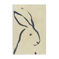 thumbnail image 1 of Stupell Industries Modern Minimal Rabbit Doodle Canvas Art, 16 x 24, by June Erica Vess, 1 of 8