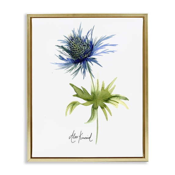 Stupell Industries Modern Minimal Thistle Flower Gold Floating Frame Canvas Art, 25 x 31, by Alexandria Gilbert Kincaid