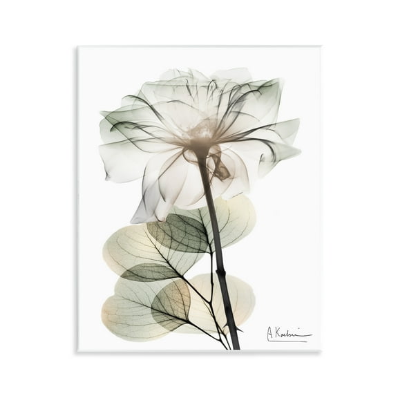 Stupell Industries Modern Minimalist Buds Floral Painting Unframed Art Print Wall Art, 11 x 14