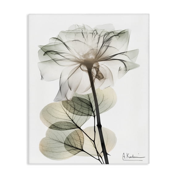 Stupell Industries Modern Minimalist Buds Floral Painting Wrapped Canvas Canvas Art Print Wall Art, 16 x 20