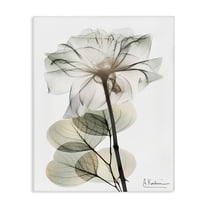 Stupell Industries Modern Minimalist Buds Floral Painting Wrapped Canvas Canvas Art Print Wall Art, 16 x 20