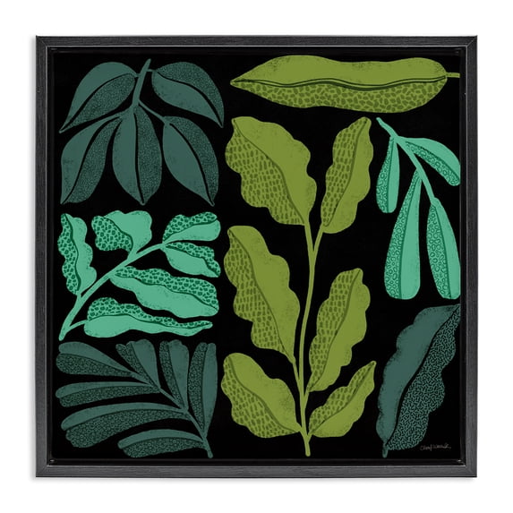 Stupell Industries Modern Plant Sprig Collage Black Floating Frame Canvas Art, 25 x 25, by Cheryl Warrick