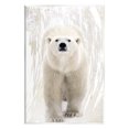 thumbnail image 1 of Stupell Industries Modern Polar Bear Portrait Animals & Insects Painting Unframed Art Print Wall Art, 13 x 19, 1 of 6