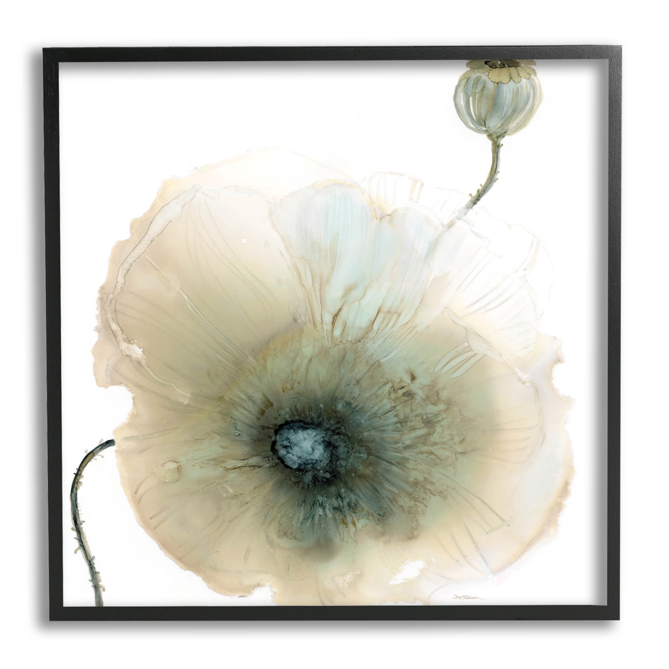 Stupell Industries Modern Poppy Flower Blossom Composition Graphic Art Black Framed Art Print Wall Art, Design by Carol Robinson