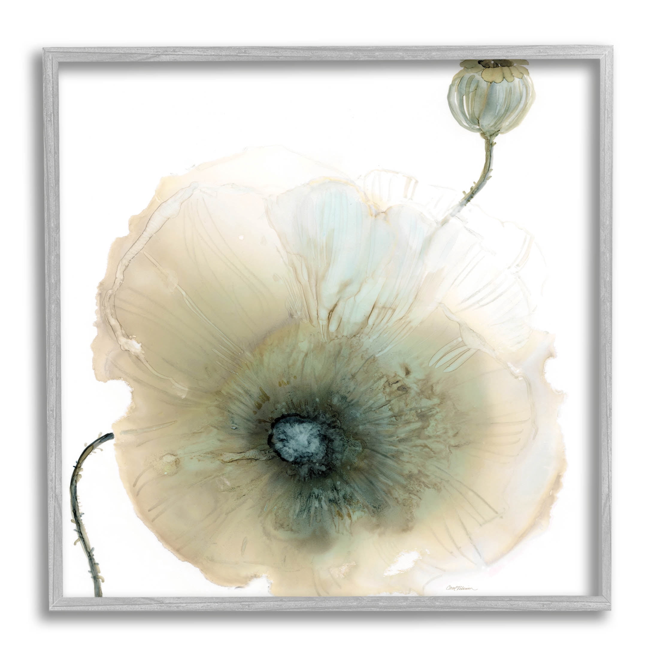 Stupell Industries Modern Poppy Flower Blossom Composition Graphic Art Gray Framed Art Print Wall Art, Design by Carol Robinson