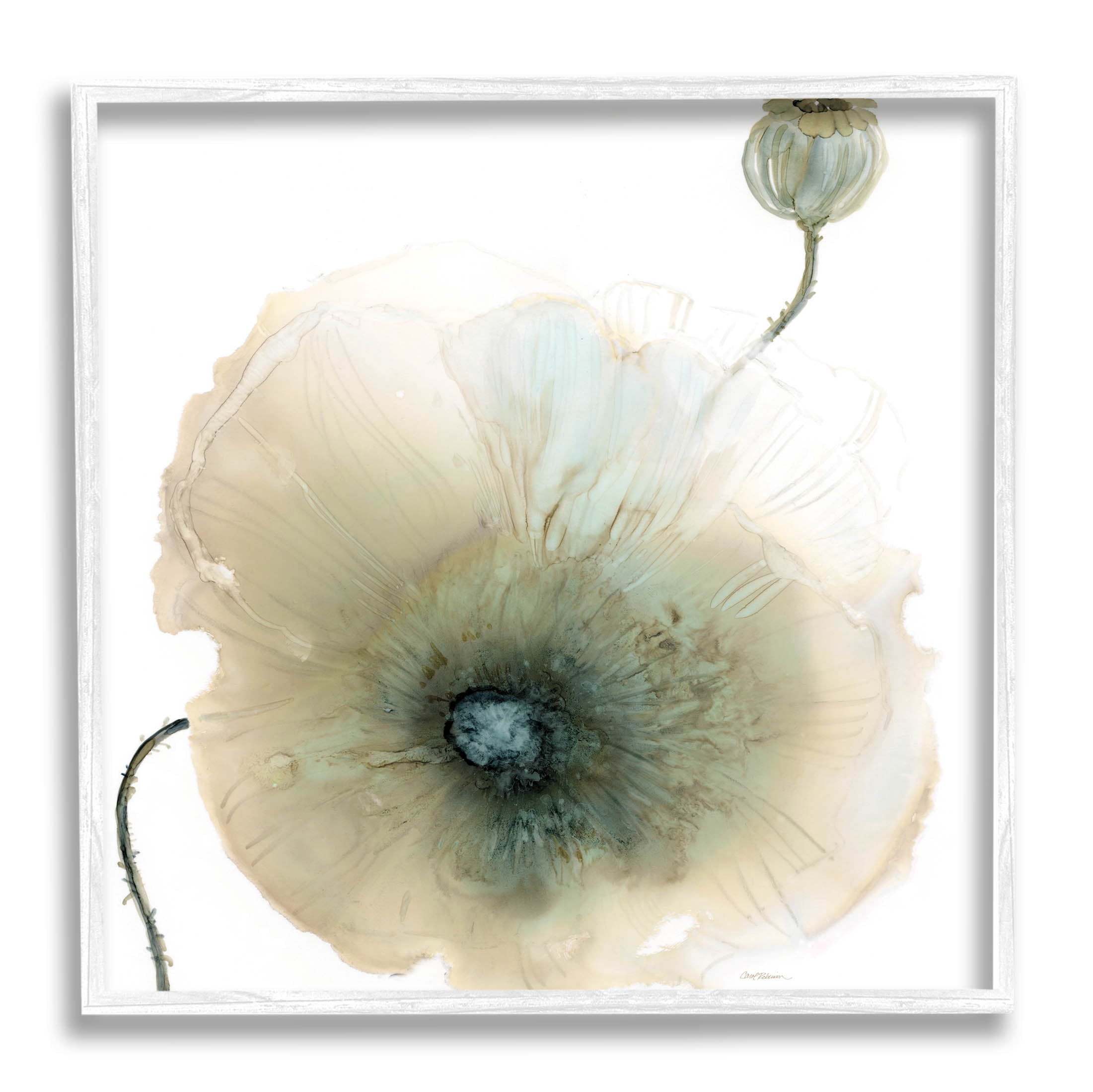 Stupell Industries Modern Poppy Flower Blossom Composition Graphic Art White Framed Art Print Wall Art, Design by Carol Robinson