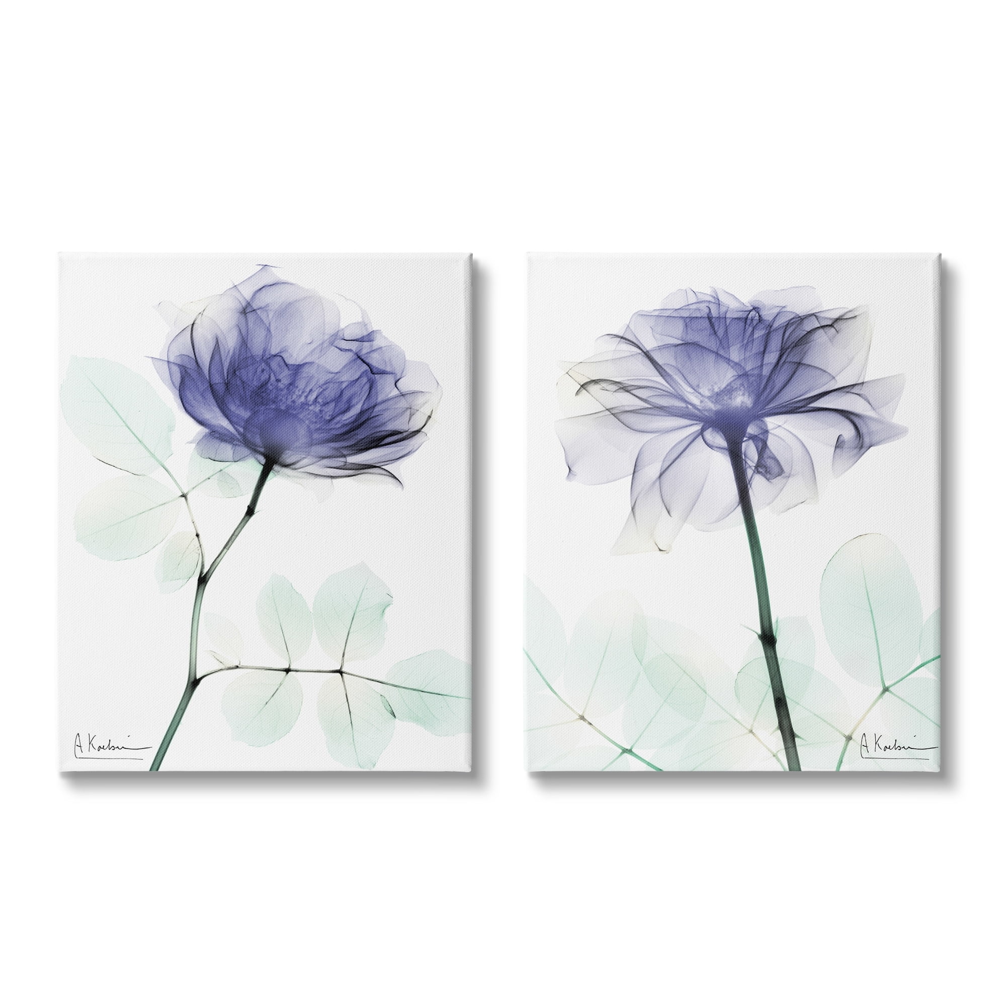 Stupell Industries Modern Purple Rose Unique Photography Design Canvas Wall Art, 24 x 30, Design by Albert Koetsier