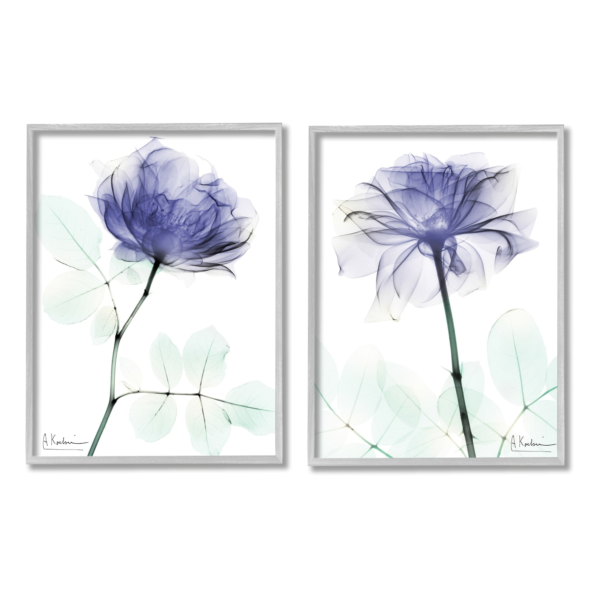 Stupell Industries Modern Purple Rose Unique Photography Design Framed Wall Art, 16 x 20, Design by Albert Koetsier