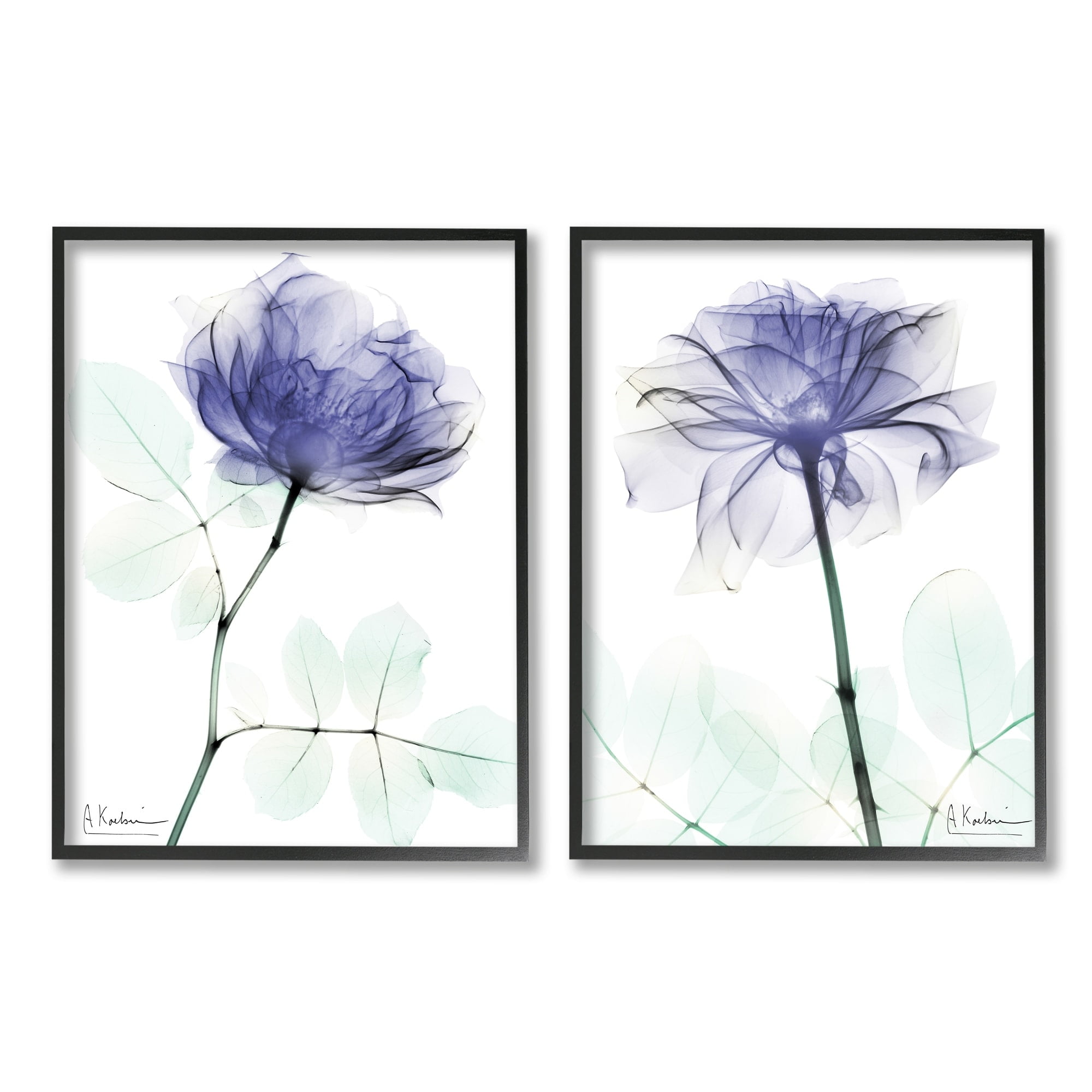 Stupell Industries Modern Purple Rose Unique Photography Design Framed Wall Art, 24 x 30, Design by Albert Koetsier