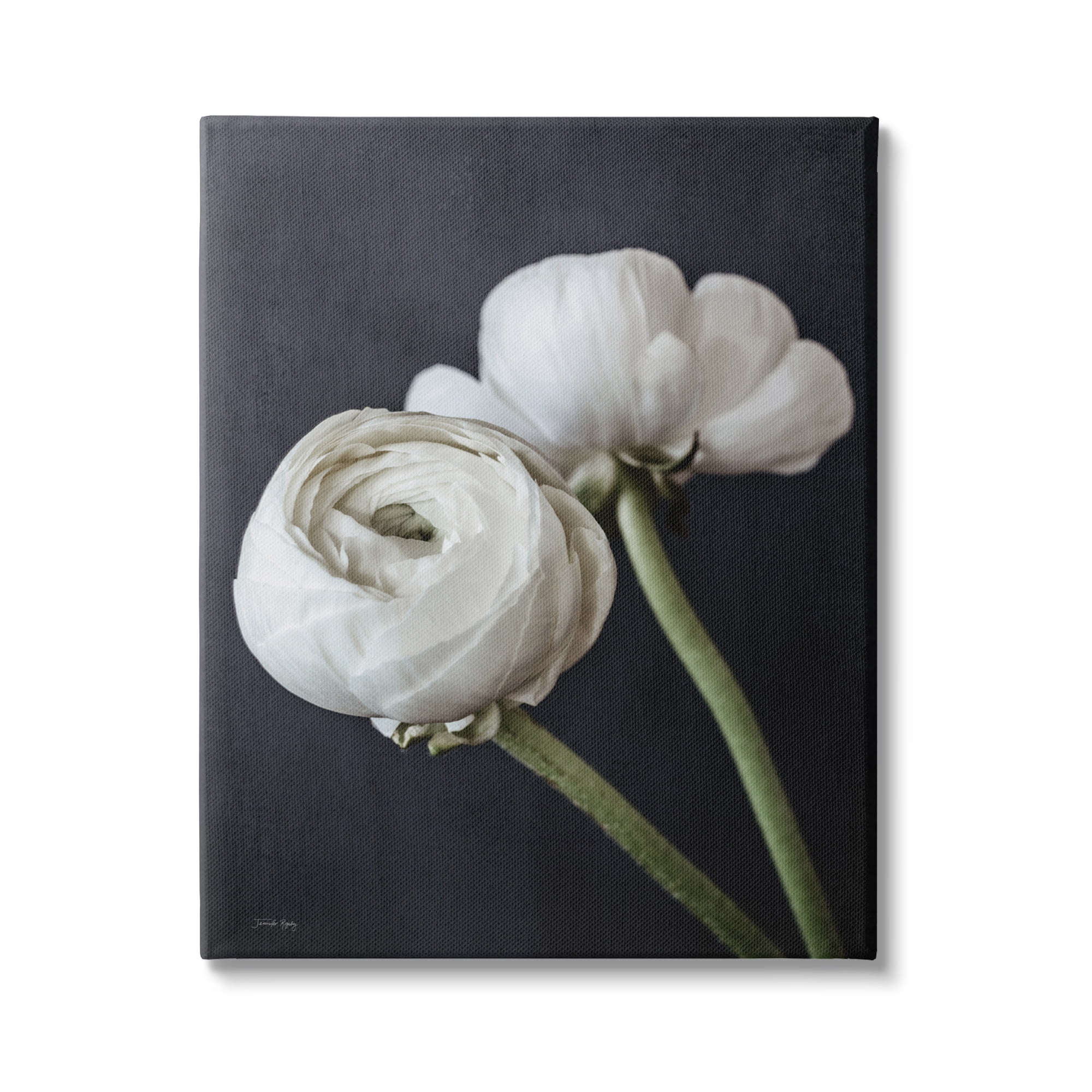 Stupell Industries Modern Ranunculus Flower Blossom Arrangement White Petals Photograph Gallery Wrapped Canvas Print Wall Art, Design by Jennifer Rigsby