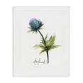 thumbnail image 1 of Stupell Industries Modern Simple Thistle Watercolor Canvas Art, 30 x 40, by Alexandria Gilbert Kincaid, 1 of 8