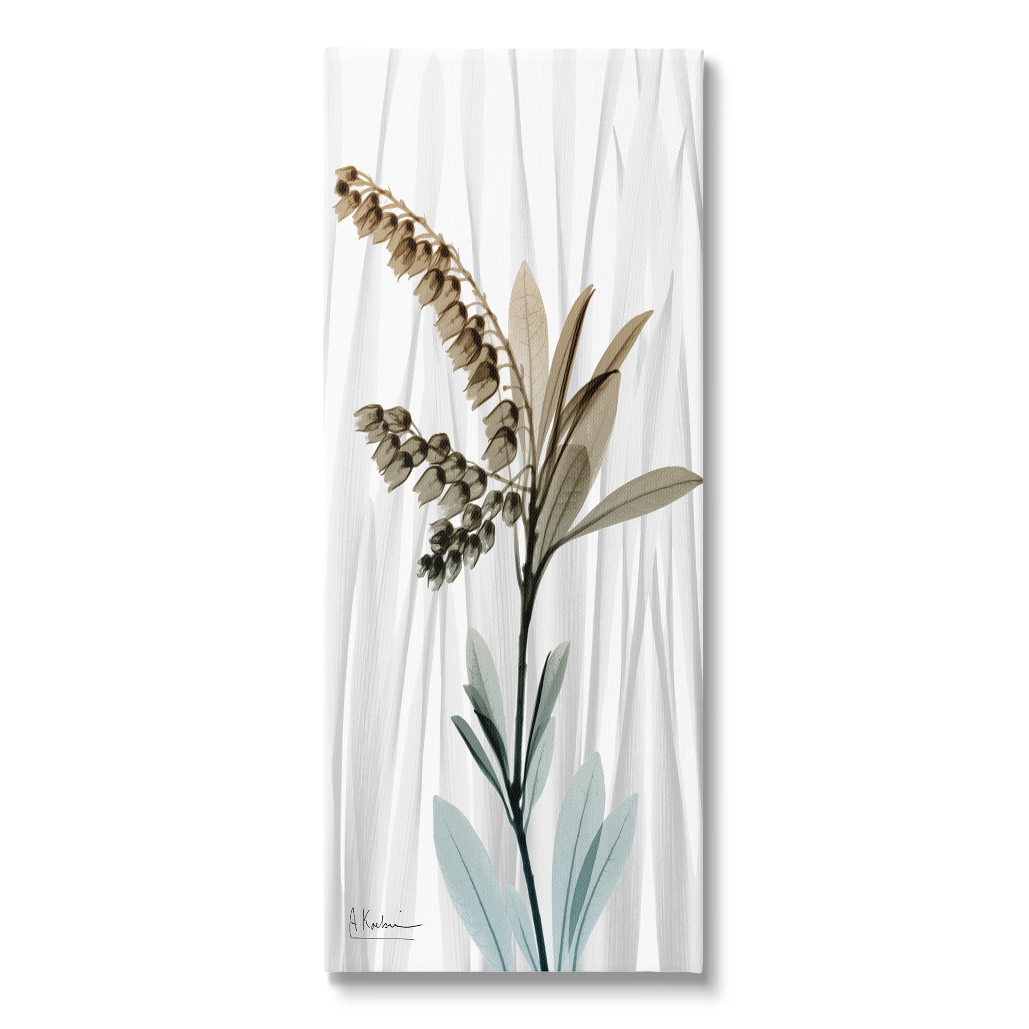 Stupell Industries Modern Snowdrops Flower Botanical & Floral Painting Gallery Wrapped Canvas Print Wall Art, 17 x 40