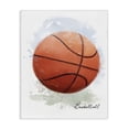 thumbnail image 1 of Stupell Industries Modern Soft Pastel Basketball Canvas Art, 16 x 20, by Matthew Piotrowicz, 1 of 7