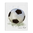 thumbnail image 1 of Stupell Industries Modern Soft Pastel Soccer Ball Canvas Art, 16 x 20, by Matthew Piotrowicz, 1 of 7