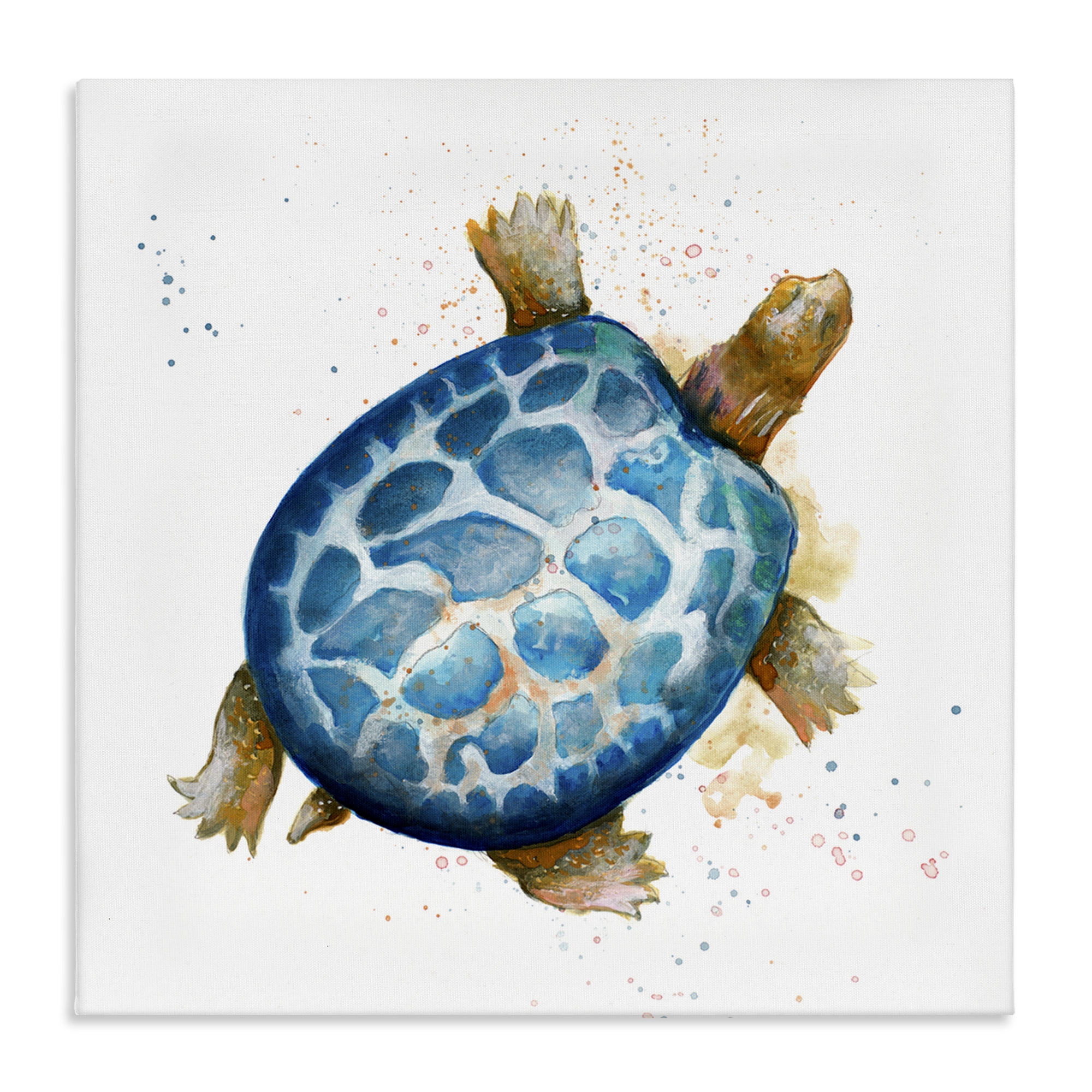 Blue and Brown Turtle Canvas Wall Art, 17 x 17
