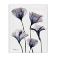 thumbnail image 1 of Stupell Industries Modern Subtle Fresh Flowers Canvas Art, 16 x 20, by Albert Koetsier, 1 of 7