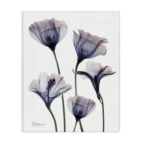 Stupell Industries Modern Subtle Fresh Flowers Canvas Art, 16 x 20, by Albert Koetsier
