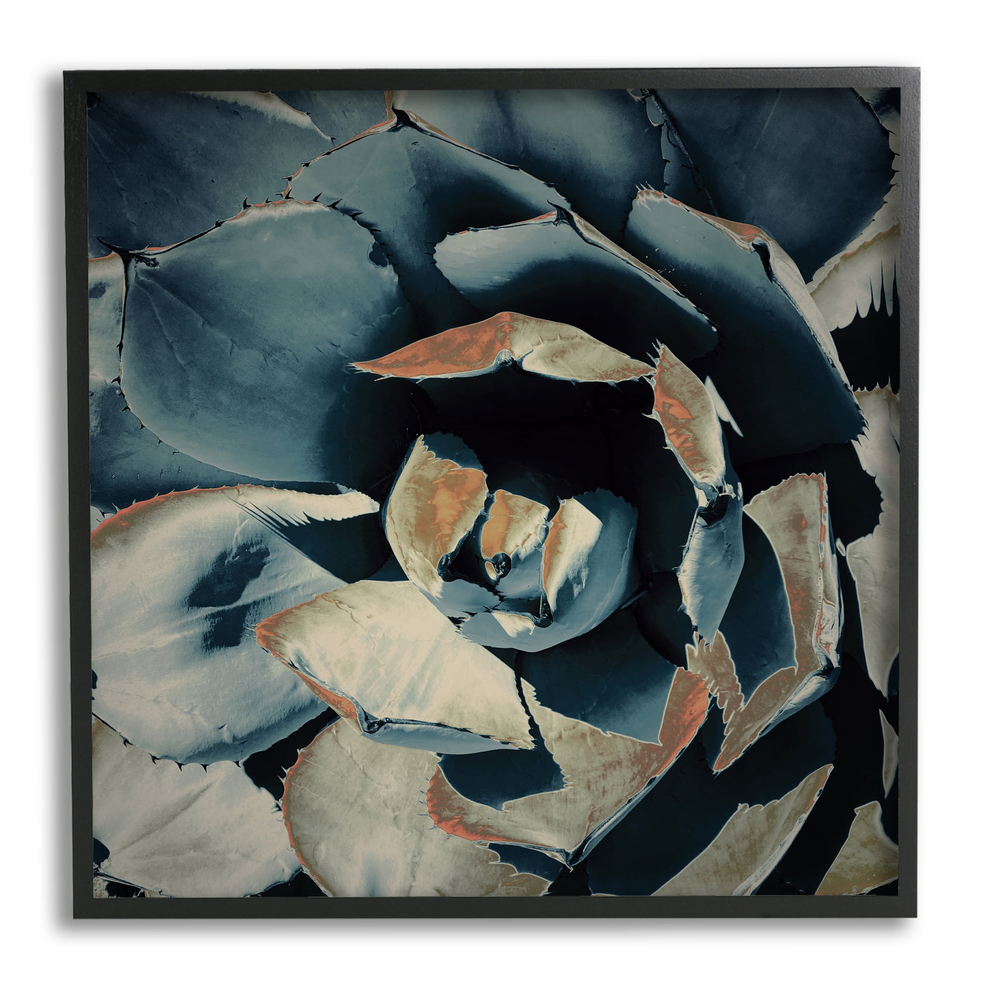 Stupell Industries Modern Succulent Leaves Botanical & Floral Painting Black Framed Art Print Wall Art, 12 x 12