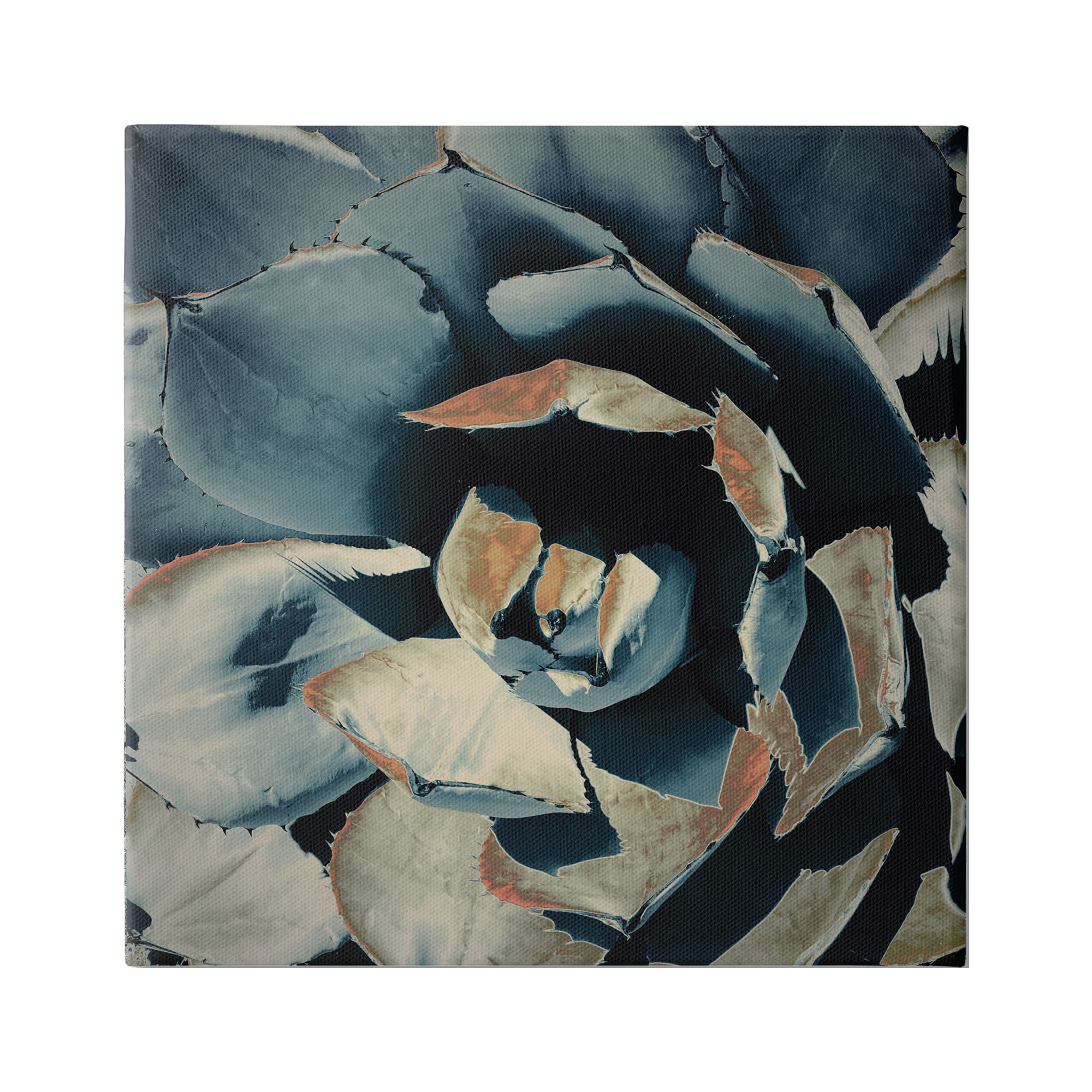 Stupell Industries Modern Succulent Leaves Botanical & Floral Painting Gallery Wrapped Canvas Print Wall Art, 17 x 17
