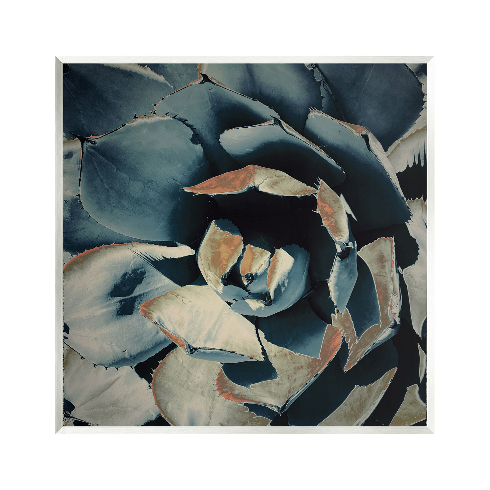 Stupell Industries Modern Succulent Leaves Botanical & Floral Painting Unframed Art Print Wall Art, 12 x 12