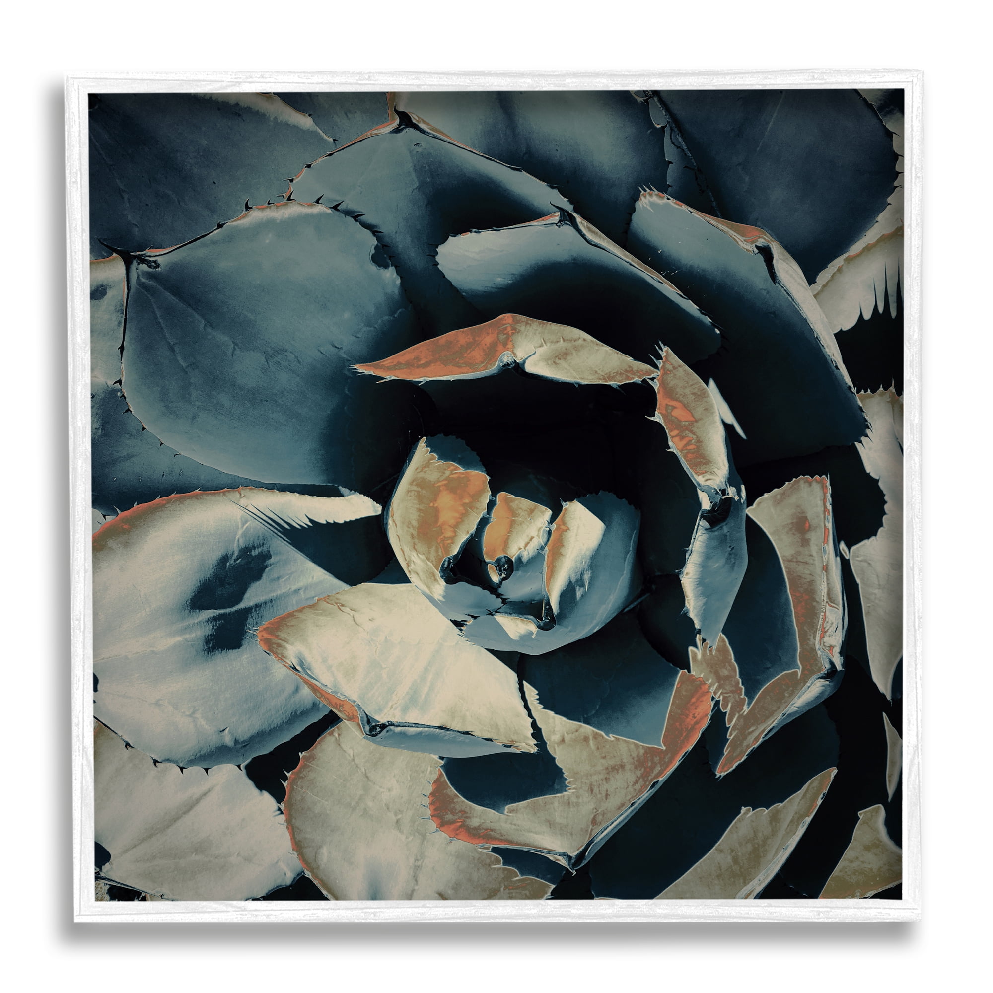 Stupell Industries Modern Succulent Leaves Botanical & Floral Painting White Framed Art Print Wall Art, 12 x 12