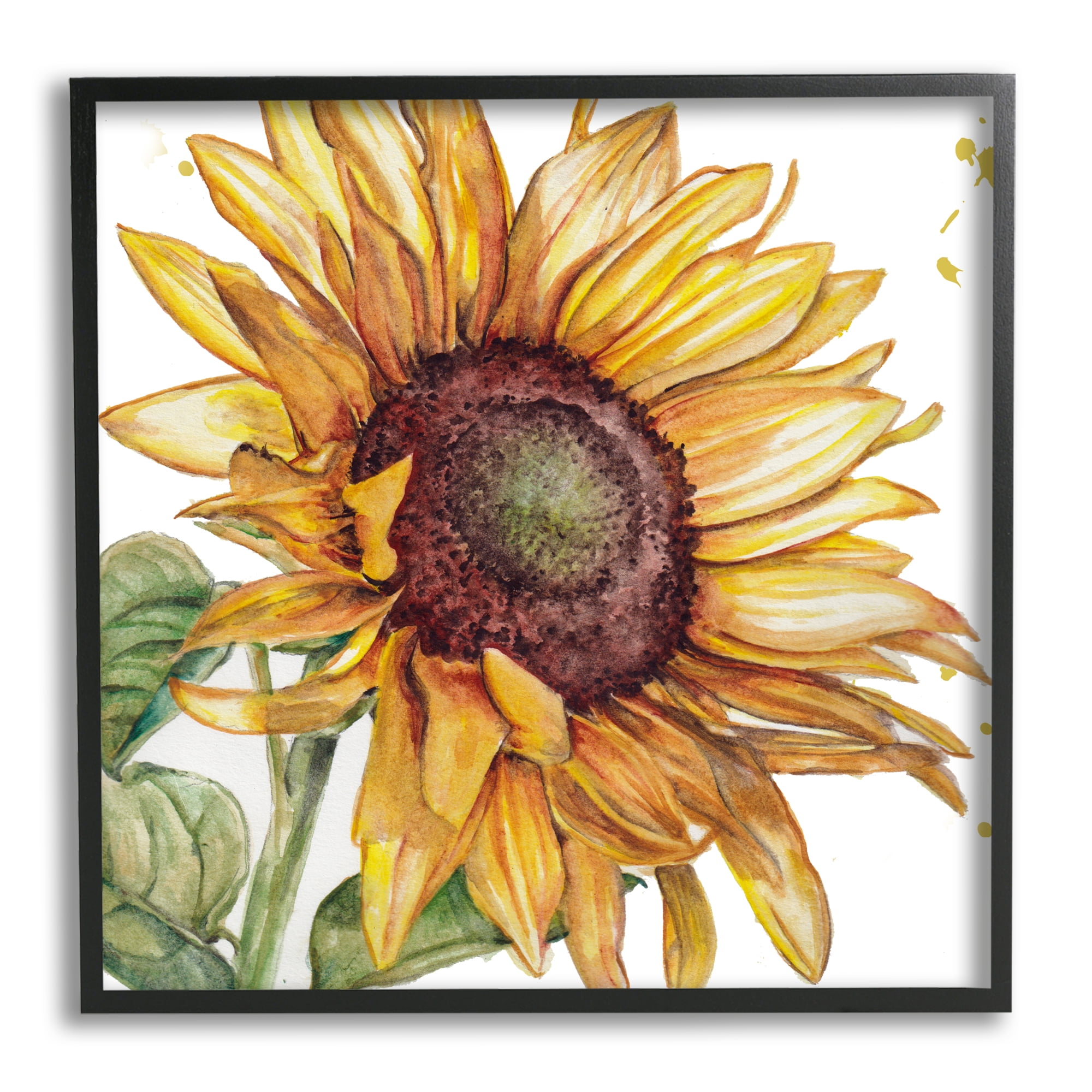 Stupell Industries Modern Sunflower Close Up Botanical & Floral Painting Black Framed Art Print Wall Art, 24 x 24
