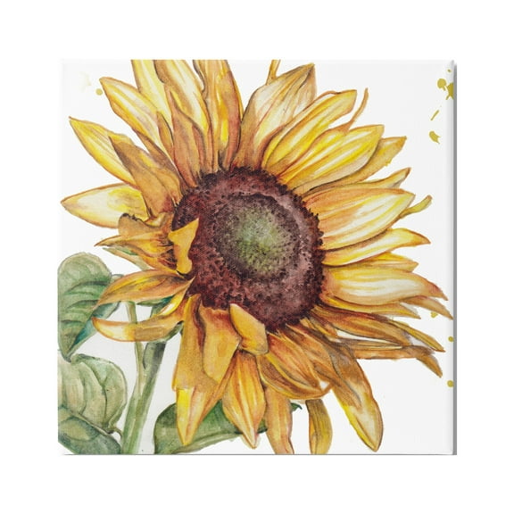 Stupell Industries Modern Sunflower Close Up Botanical & Floral Painting Gallery Wrapped Canvas Art Print Wall Art, 24 x 24