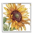 thumbnail image 1 of Stupell Industries Modern Sunflower Close Up Botanical & Floral Painting White Framed Art Print Wall Art, 24 x 24, 1 of 9