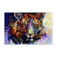 thumbnail image 1 of Stupell Industries Modern Tiger's Wild Wonder Canvas Art, 24 x 16, by Leon Devenice, 1 of 8