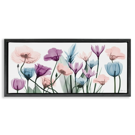 Stupell Industries Modern Translucent Pastel Tulips Botanical & Floral Painting Black Floater Framed Canvas Art Print Wall Art, 31 x 14