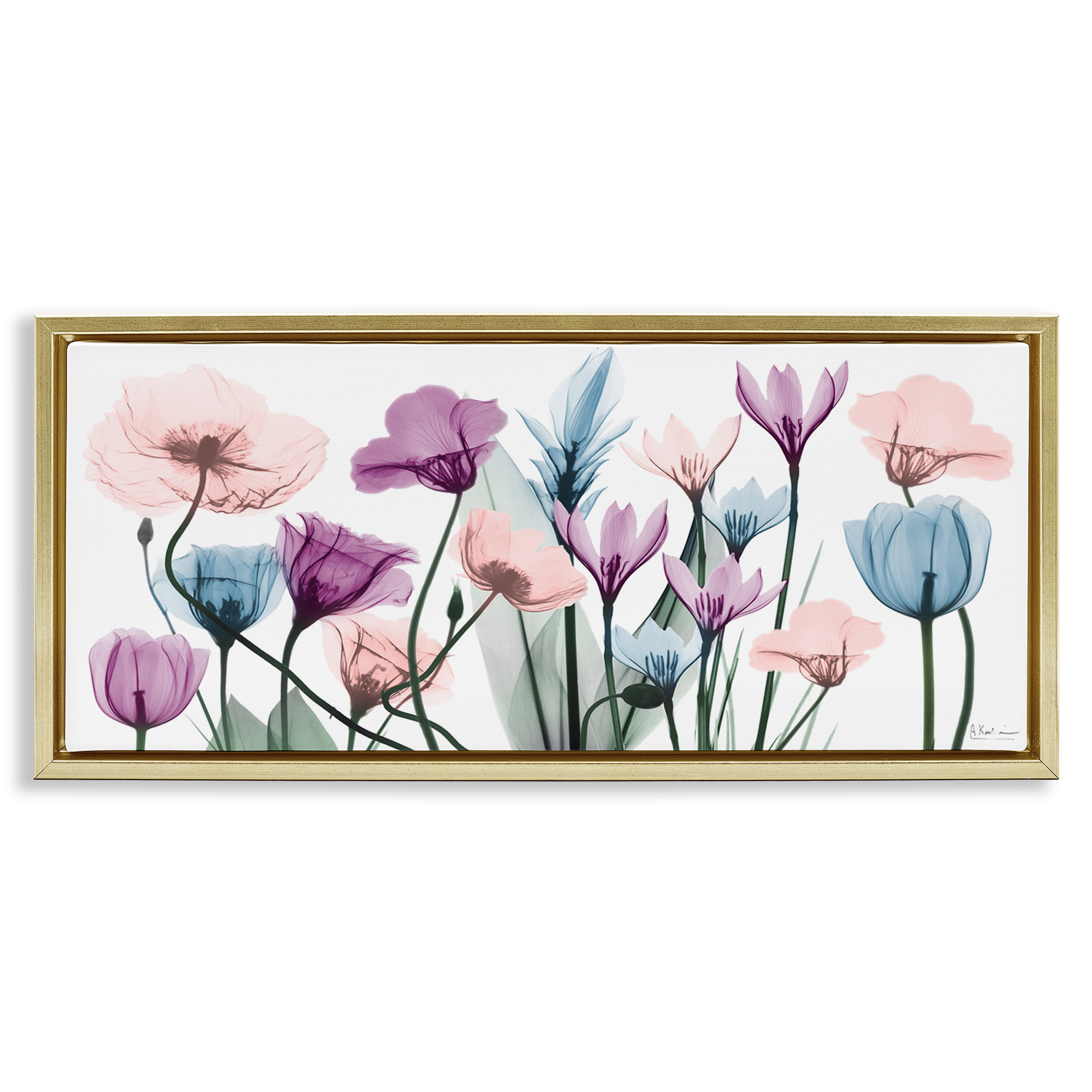 Stupell Industries Modern Translucent Pastel Tulips Botanical & Floral Painting Gold Floater Framed Canvas Art Print Wall Art, 25 x 11