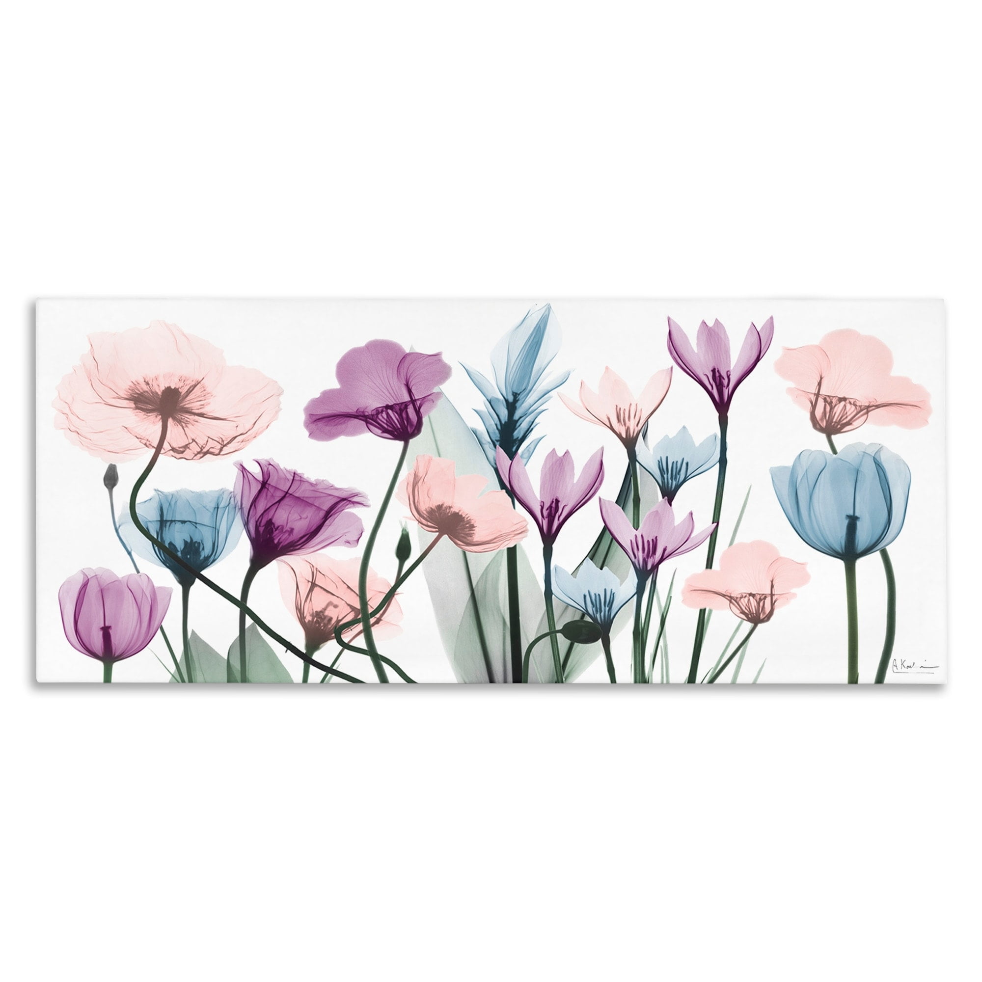 Stupell Industries Modern Translucent Pastel Tulips Flower Buds Blossoms Canvas Wall Art, 30 x 13, Design by Albert Koetsier