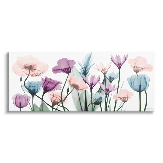 Stupell Industries Modern Translucent Pastel Tulips Flower Buds Blossoms Canvas Wall Art, 40 x 17, Design by Albert Koetsier