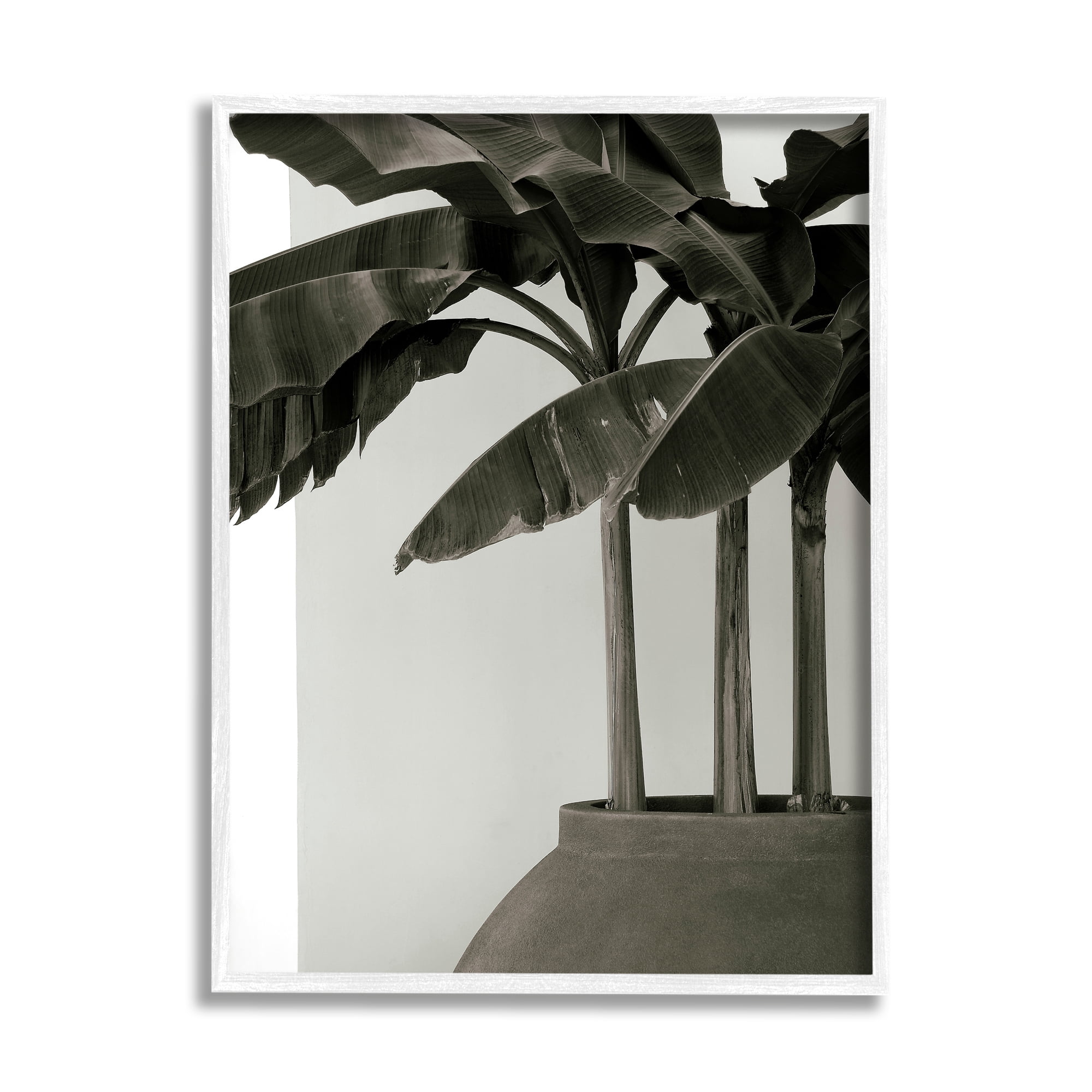 Stupell Industries Modern Tropical Palm Monochromatic Cement Planter, 11 x 14, Design by George Cannon