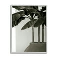 thumbnail image 1 of Stupell Industries Modern Tropical Palm Monochromatic Cement Planter, 11 x 14, Design by George Cannon, 1 of 7