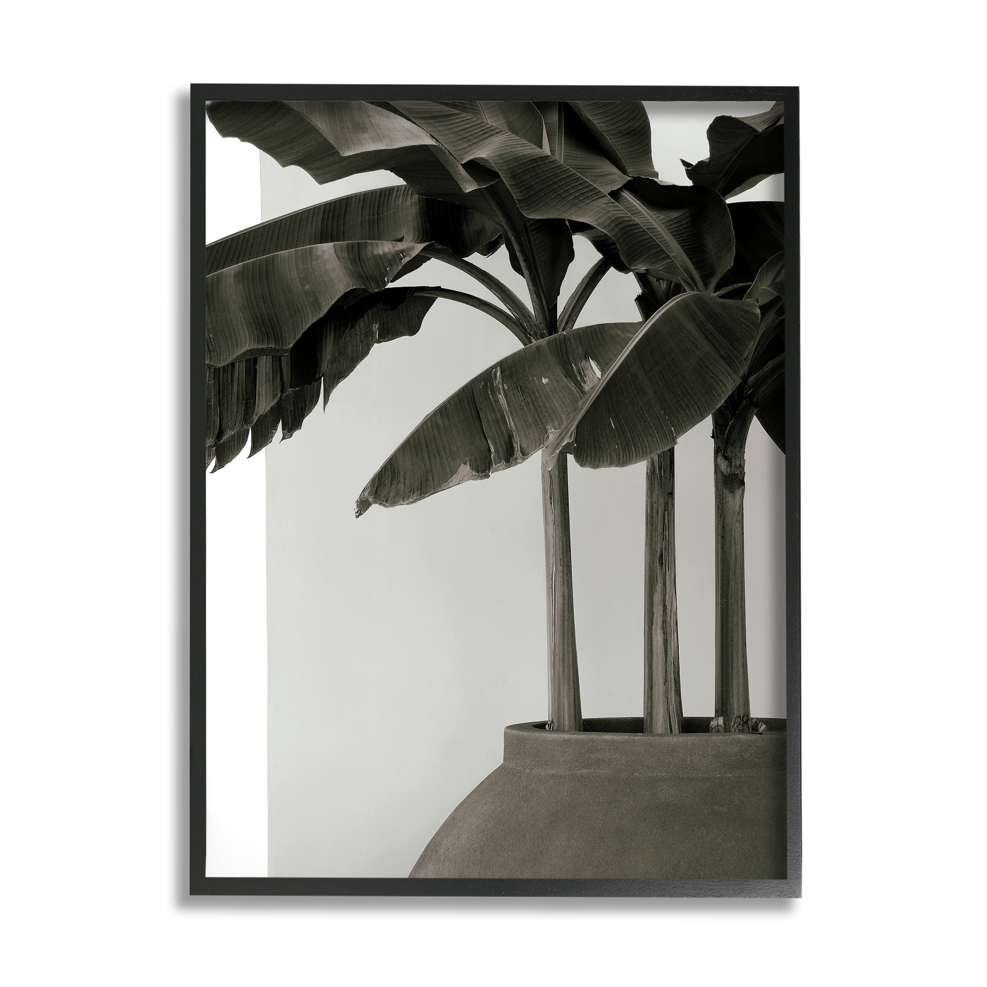 Stupell Industries Modern Tropical Palm Monochromatic Cement Planter, 24 x 30, Design by George Cannon