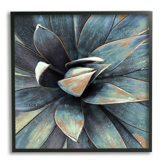 Stupell Industries Modern Tropical Petals Botanical & Floral Painting Black Framed Art Print Wall Art, 24 x 24