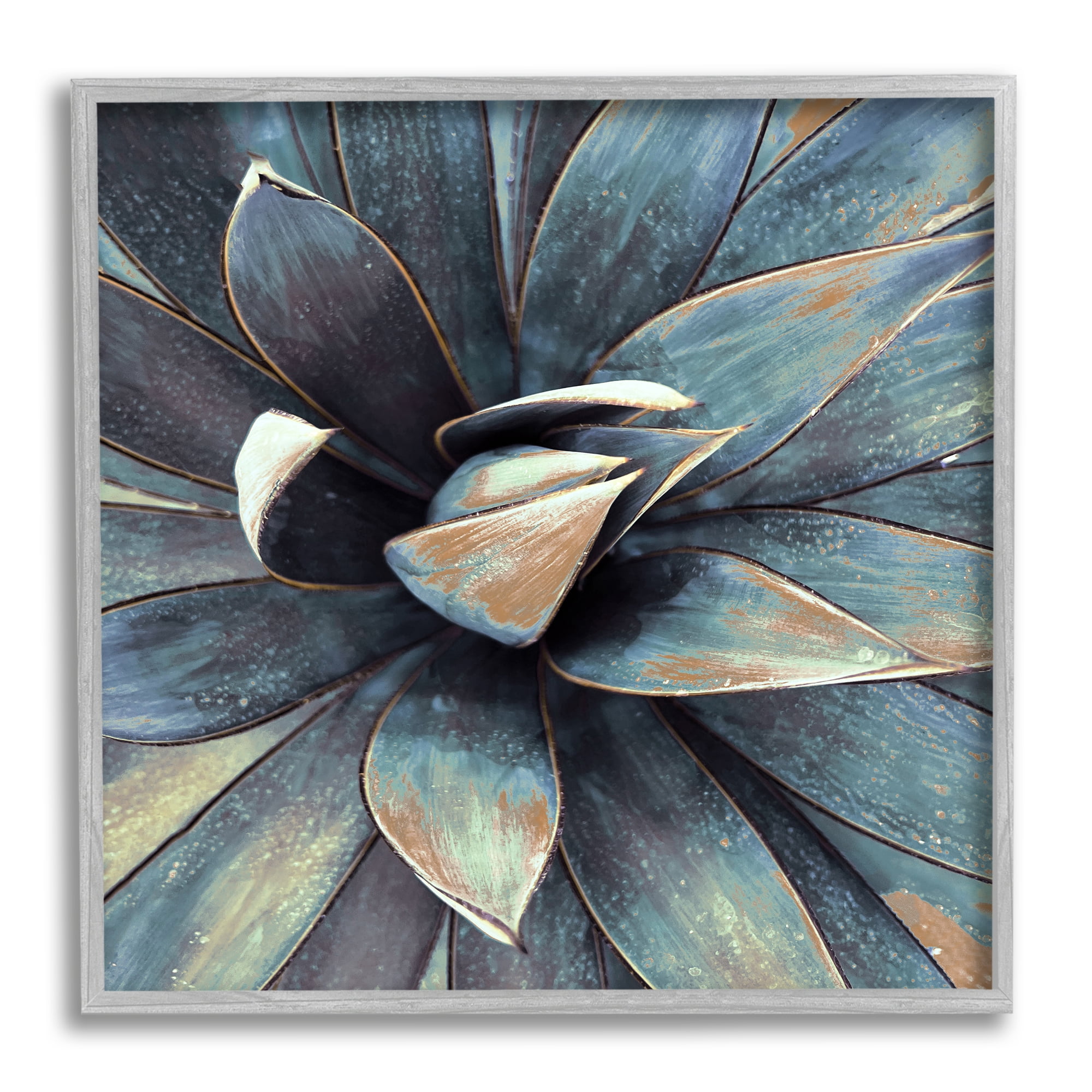 Stupell Industries Modern Tropical Petals Botanical & Floral Painting Gray Framed Art Print Wall Art, 12 x 12