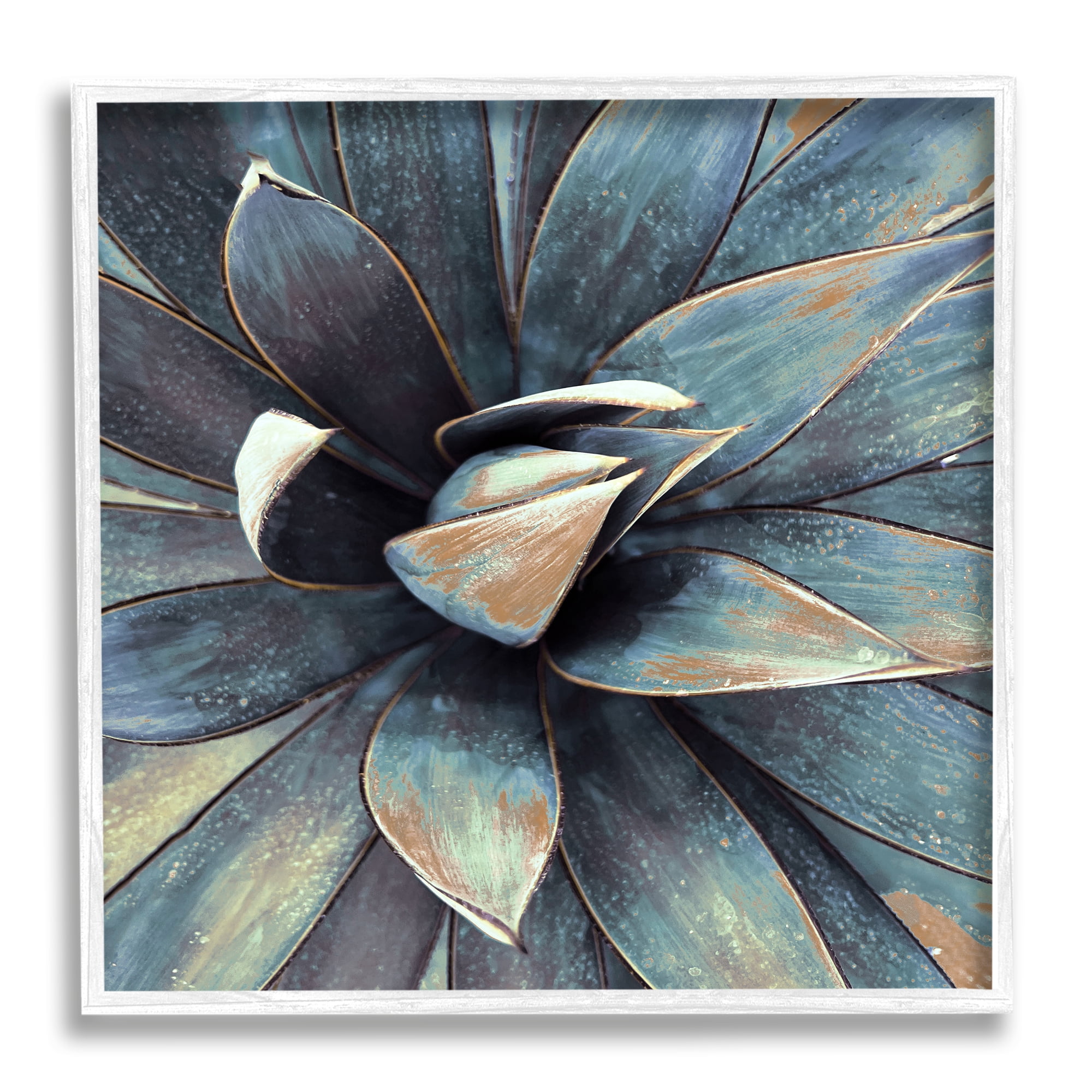 Stupell Industries Modern Tropical Petals Botanical & Floral Painting White Framed Art Print Wall Art, 24 x 24